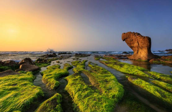 Image gallery